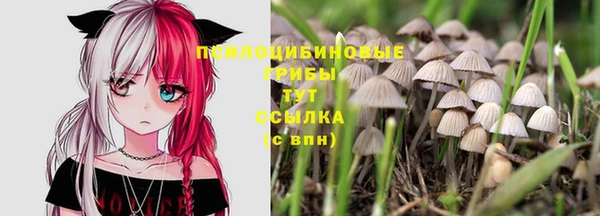 меф VHQ Богданович