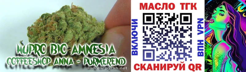 ТГК гашишное масло  купить закладку  Приволжский 